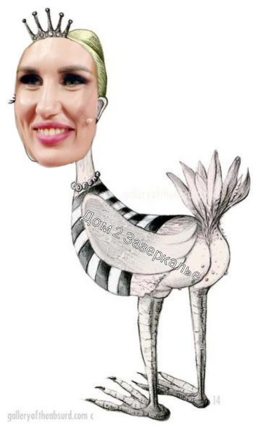 Приколы о Дом-2 (10.01.2020)