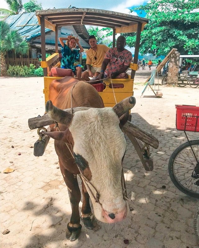 Фото участников с Сейшел (21.01.2020)