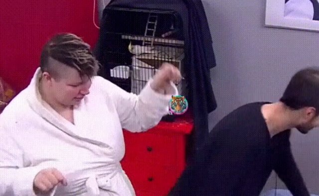 Стихи о Дом-2 на 23.01.2020