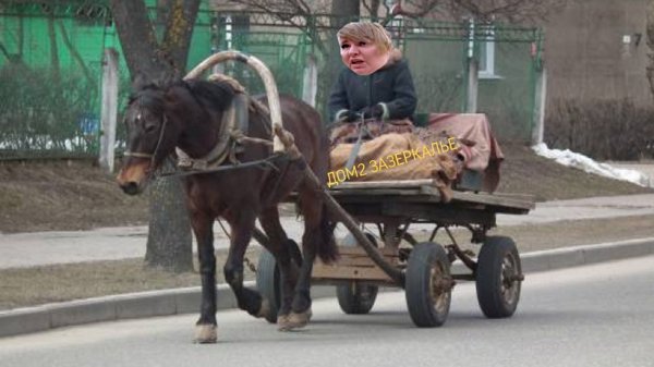 Приколы о Дом-2 (2.02.2020)