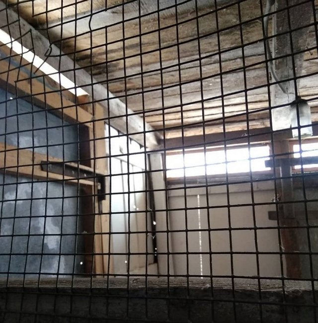 Май Абрикосов: Что нужно, чтобы попасть на Дом-2?