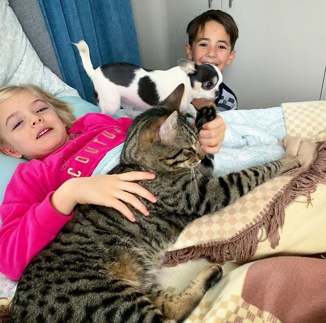 Фотоподборка детей участников (10.02.2020)