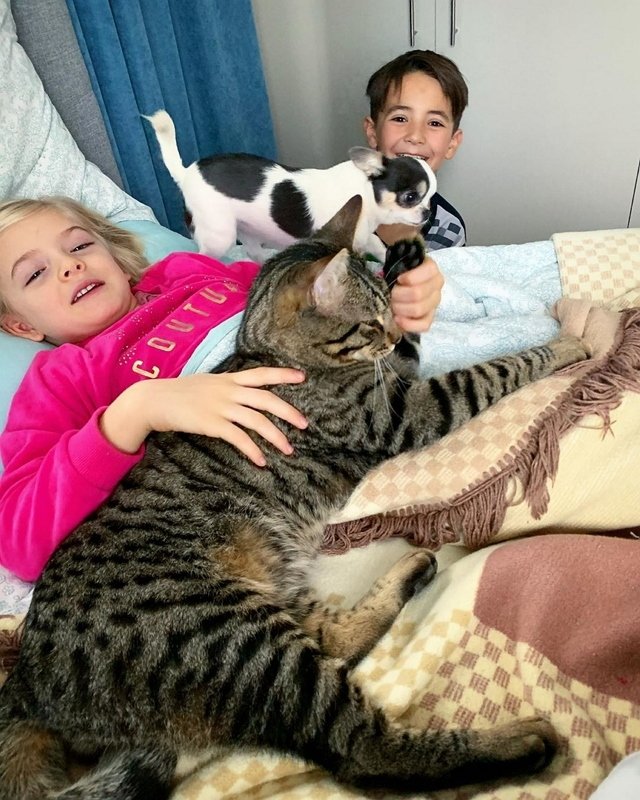 Фотоподборка детей участников (15.02.2020)