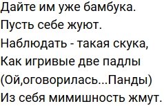 Стихи о Дом-2 на 22.02.2020