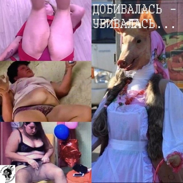 Стихи о Дом-2 на 13.03.2020