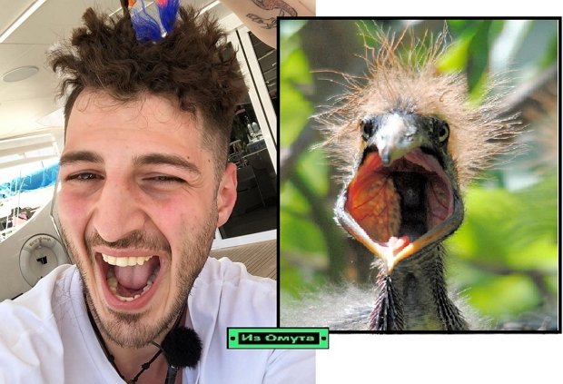 Приколы о Дом-2 (30.03.2020)