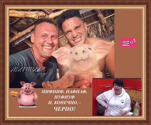 Приколы о Дом-2 (31.03.2020)