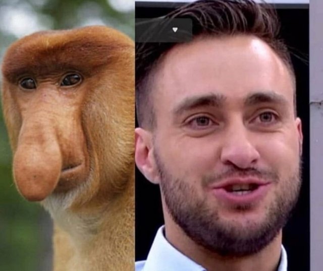 Приколы о Дом-2 (11.04.2020)