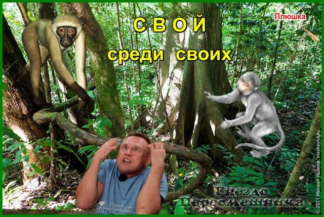 Приколы о Дом-2 (11.04.2020)