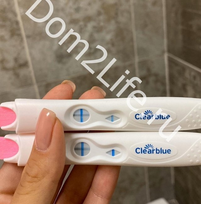 Чайков рассказал, как отреагировал на новость о беременности Пингвиновой