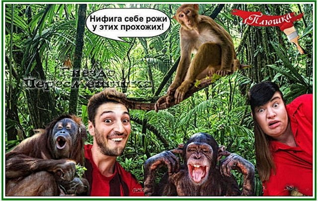 Приколы о Дом-2 (17.04.2020)