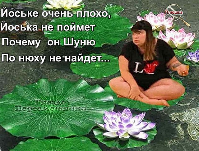 Приколы о Дом-2 (19.04.2020)