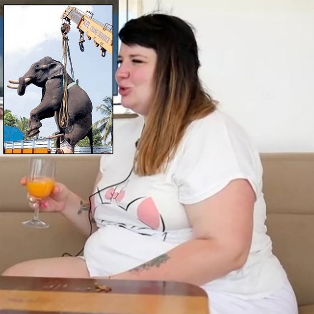 Приколы о Дом-2 (3.05.2020)