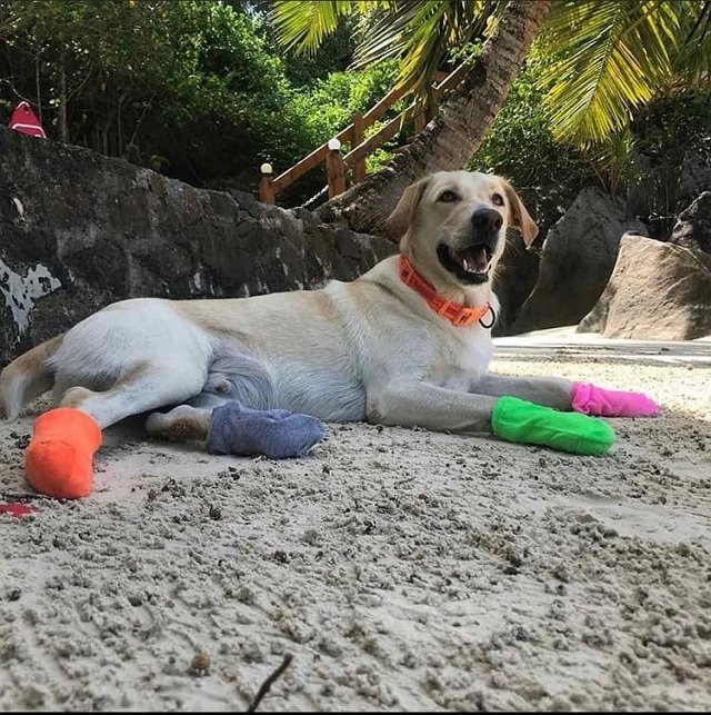 Фото участников с Сейшел (5.05.2020)