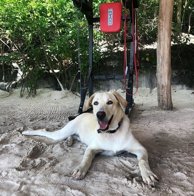 Фото участников с Сейшел (6.05.2020)