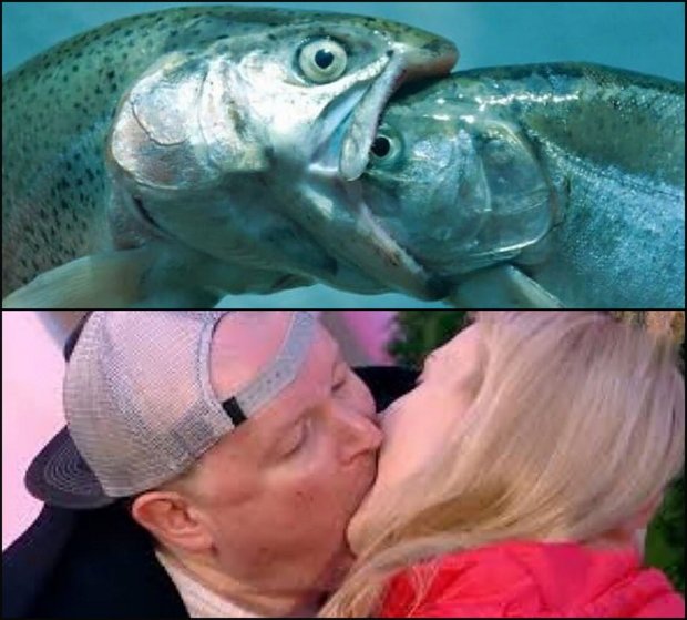 Приколы о Дом-2 (7.05.2020)