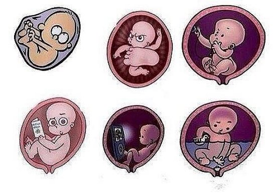 Александра Черно: Пока в декрет я не рвусь