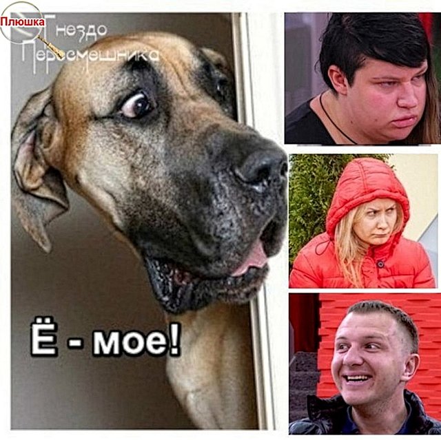 Приколы о Дом-2 (22.05.2020)