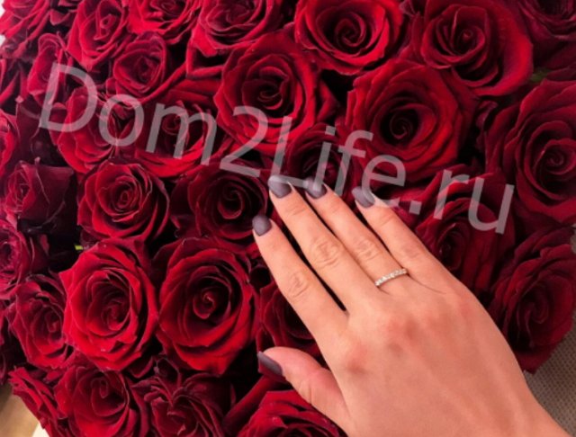 Яббаров выложил за помолвочное кольцо для Голд кругленькую сумму