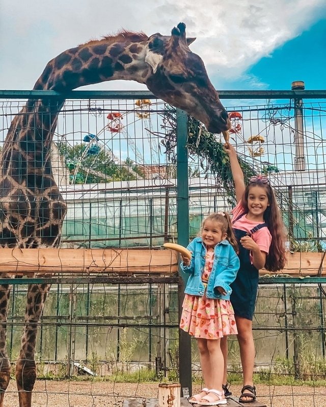 Фотоподборка детей участников (24.06.2020)