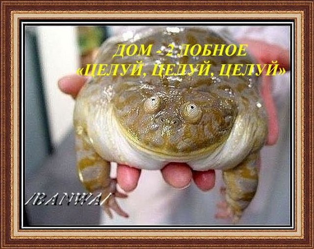 Приколы о Дом-2 (14.07.2020)