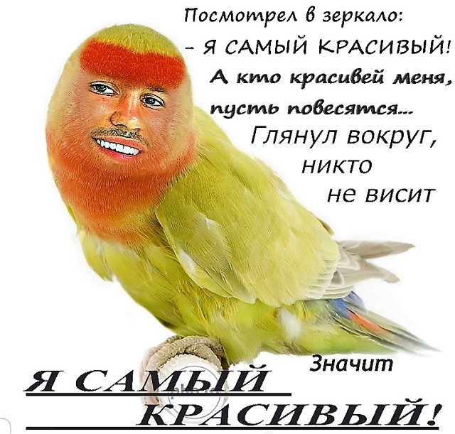 Приколы о Дом-2 (31.07.2020)