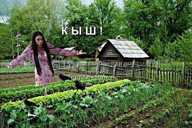 Приколы о Дом-2 (7.08.2020)