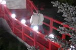 Даниил Сахнов: Мне надо спокойнее реагировать