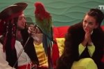 Анна Левченко: Началось с того, что я говорила 