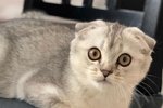 Александра Черно: Теперь у нас два лотка