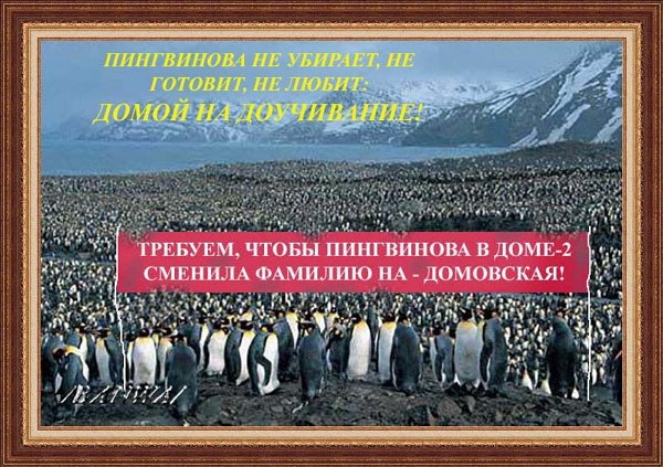 Приколы о Дом-2 (21.08.2020)
