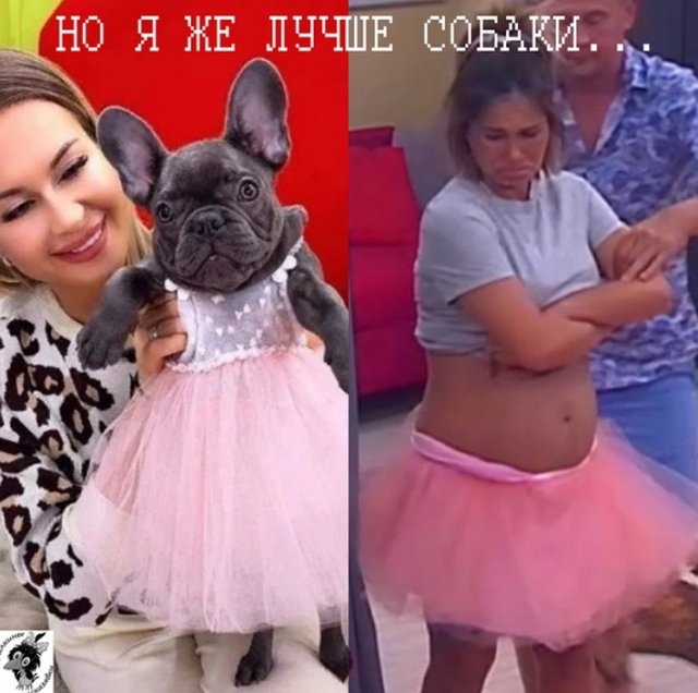 Приколы о Дом-2 (26.08.2020)