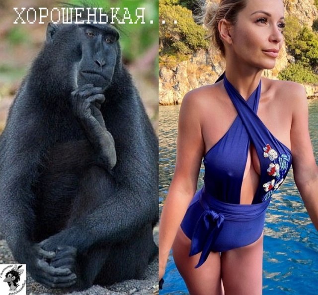 Стихи о Дом-2 на 12.09.2020
