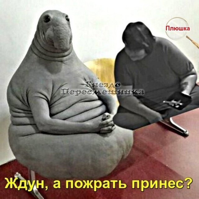 Приколы о Дом-2 (1.10.2020)