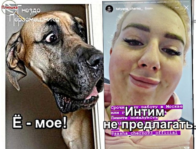 Приколы о Дом-2 (12.10.2020)