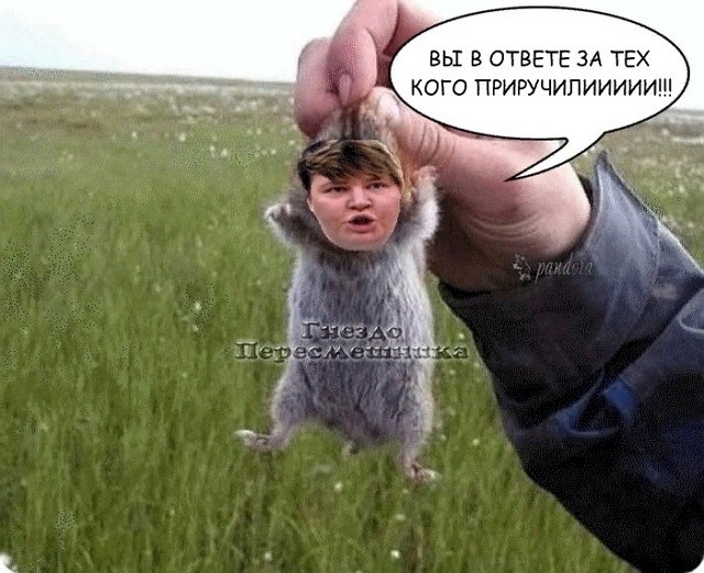 Приколы о Дом-2 (30.10.2020)