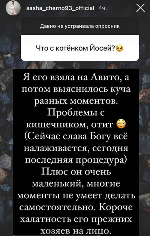 Александра Черно: Мне леопарда до сих пор вспоминают