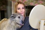 Ольга Орлова: Скажите мне, а что не так с дворняжками?