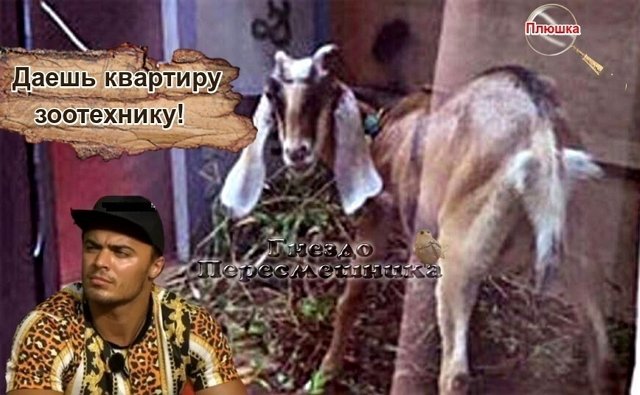 Приколы о Дом-2 (5.11.2020)
