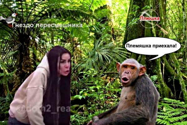 Приколы о Дом-2 (27.11.2020)