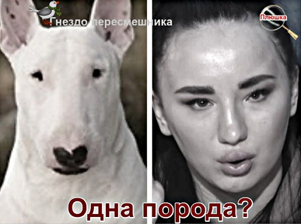 Приколы о Дом-2 (27.11.2020)