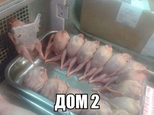 Приколы о Дом-2 (13.12.2020)
