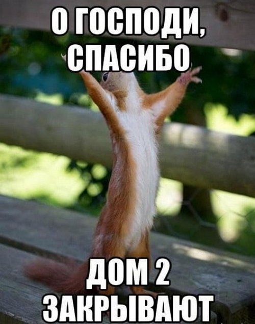 Приколы о Дом-2 (22.12.2020)