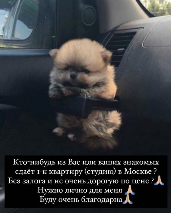 Екатерина Скалон: Нужна однокомнатная квартира! Срочно!