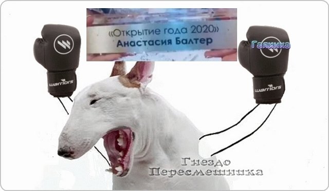 Приколы о Дом-2 (29.12.2020)