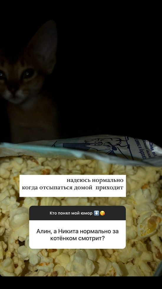 Алина Галимова: С первого января ни одного слова