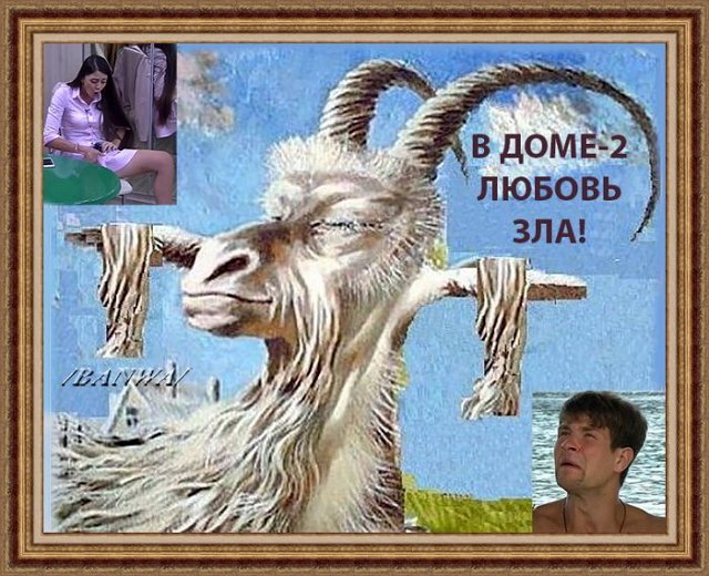 Приколы о Дом-2 (17.01.2021)