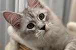 Ксения Бородина: Этого красавца я давно приметила