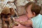 Ангелина Монах: Мне жалко Монику