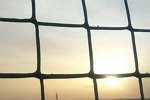 Роман Тертишный: Срочно нужно отправить Светлову в колхоз